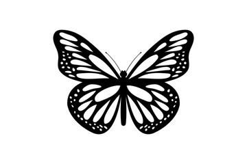 butterfly vector icon illustration design