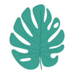 tropical leaf vector illustration on white background
