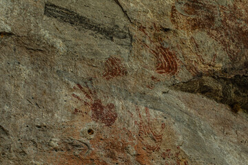 Prehistoric paintings in the cave at Phu Sra dok Bua National  park Mukdahan province, Thailand.