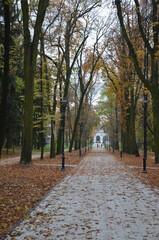 Busko Zdrój , puste ulice ,covid 19 Busko Zdrój , jesień 2020 Busko Zdrój , Busko Zdrój bez ludzi , bez ludności ulice , Busko Zdrój bez kuracjuszy , puste Park Zdrojowy w Busku Zdroju , Park w Busku © Szymon