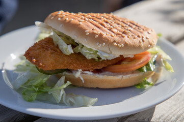 fish burger on a white plate