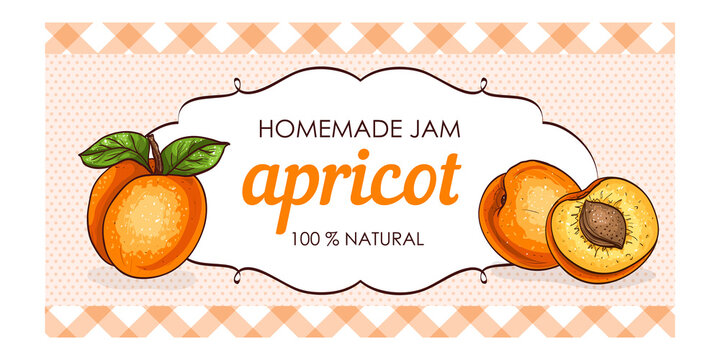 Healthy homemade apricot jam marmalade paper label vector illustration
