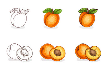 Hand drawn color and sketch, tasty apricot