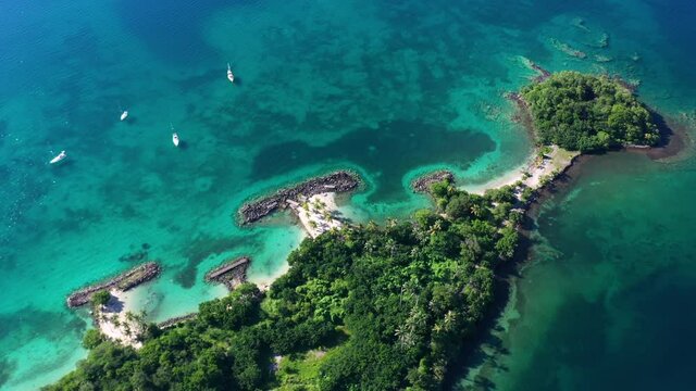 artificial coral reef in the island of Martinique anse Mitan pointe du bout tropical coastline 