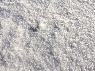 texture of fresh white sparkling snow surface. Winter background