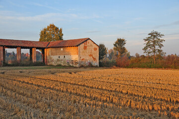 Risaie e colori d'autunno a sud di Milano - Basiglio	