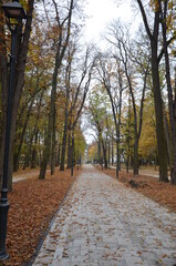 Busko Zdrój , puste ulice ,covid 19 Busko Zdrój , jesień 2020 Busko Zdrój , Busko Zdrój bez ludzi , bez ludności ulice , Busko Zdrój bez kuracjuszy , puste Park Zdrojowy w Busku Zdroju , Park w Busku © Szymon