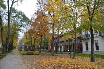 Busko Zdrój , puste ulice ,covid 19 Busko Zdrój , jesień 2020 Busko Zdrój , Busko Zdrój bez ludzi , bez ludności ulice , Busko Zdrój bez kuracjuszy , puste Park Zdrojowy w Busku Zdroju , Park w Busku © Szymon