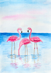 Pink flamingo birds in water. Art illustration watercolor painting