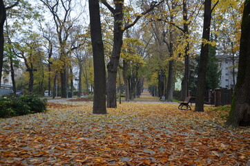 Busko Zdrój , puste ulice ,covid 19 Busko Zdrój , jesień 2020 Busko Zdrój , Busko Zdrój bez ludzi , bez ludności ulice , Busko Zdrój bez kuracjuszy , puste ulice pandemia w Busku Zdroju , Park w Busku © Szymon