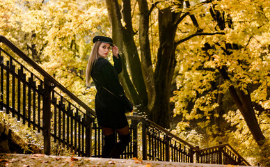 sesja w parku piękna modelka brunetka jesień seksowna kobieta dziewczyna brown tones - obrazy, fototapety, plakaty