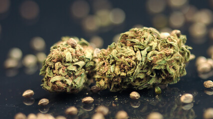 Cannabis seeds with dried buds. Medical marijuana, close up.
