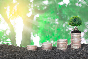 Coins arranged on black soil and natural light,financial accounting concepts, and saving money. © Duangaram