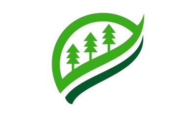 pine tree vector logo