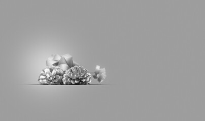 Merry Christmas concept background.Black and white.