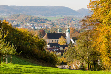 Arlesheim, Dom, Birstal, Birsebene, Dorf, Herbst, Herbstfarben, Herbstlaub, Weinberg, Landwirtschaft, Wanderweg, Baselland, Schweiz