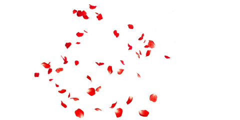Petals Stock Image with blur effect