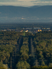 Fototapeta premium High voltage pylons in the forest