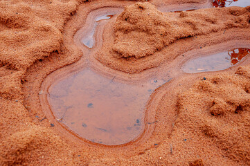 Obraz premium Dark yellow sand on the bank of river with reflections in the water of puddle. Autumn on the north, mainly cloudy