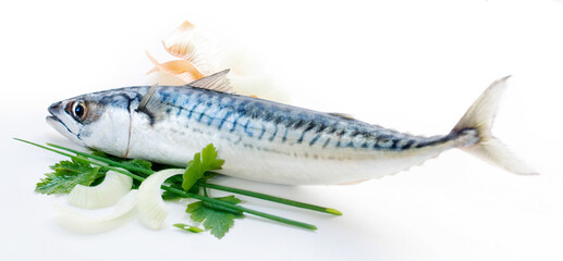 The fish mackerel with herbs on white background.
