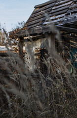 Abandoned old gloomy house