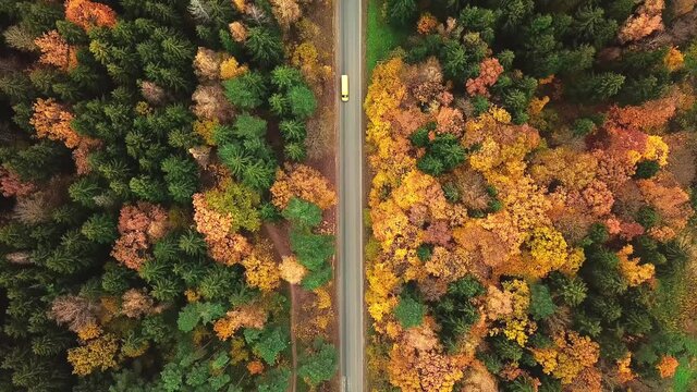 Aerial view of roads, cars and a yellow school bus moving in the colorful countryside of the autumn forest. Bird's-eye view of the road. The Orange, Green, Yellow, And Red Leaves Of Forest Trees Fall 