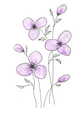 Violet flowers with leaves graphic drawing with watercolor elements on a white background, air and summer flowers for printing on t-shirts. The illustration can be used to decorate things and walls.
