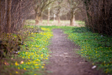 spring in the park