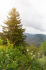 Scenic overlook at Newfound Gap at the Great Smoky Mountains National Park on the border of Tennessee and North Carolina