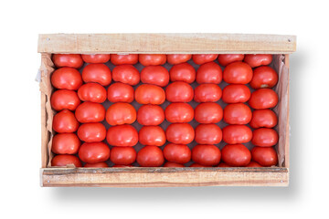 vegetables red ripe tomatoes on a white background