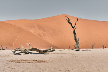 Beautiful landscape view in Namibia, Africa
