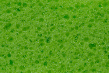 Close up of green bath sponge texture