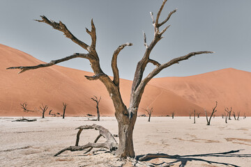 Beautiful landscape view in Namibia, Africa