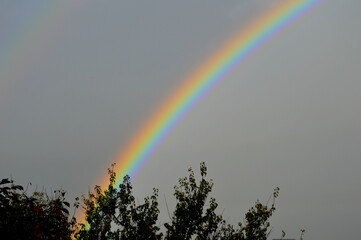 The rainbow is big and bright in the morning in autumn after the rain over the village.