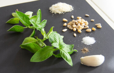 Basil Pesto ingredients