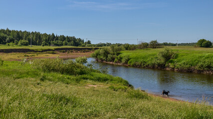 Fototapeta na wymiar summer morning at headwaters of Dnieper river in Smolensk region, Russia