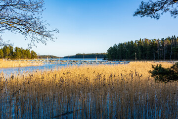 View to The Linlo harbour, dry reeds and Gulf of Finland in winter, Kirkkonummi, Finland