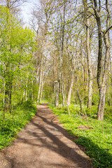 View of the walking trail in spring, Ramsholmen island, Tammisaari, Finland