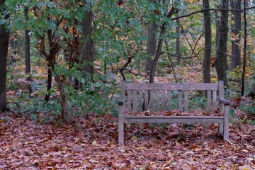 bench in autumn park - 389680170