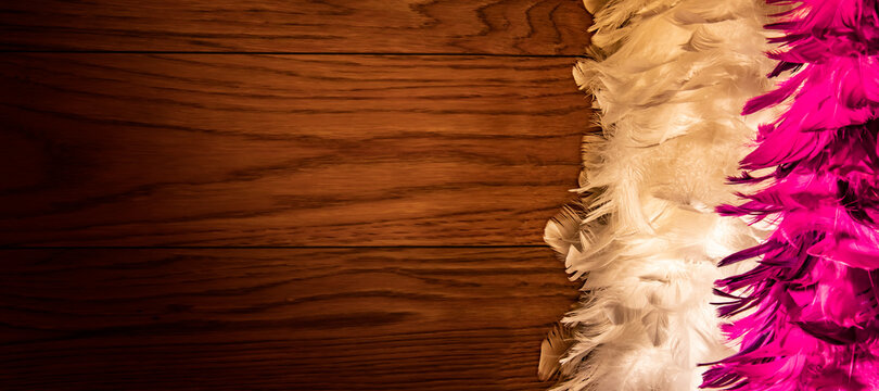 Abstrakter Hintergrund, Webbanner, fuchsia farbene Federn vor Holz Hintergrund