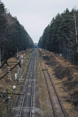 railway in the forest