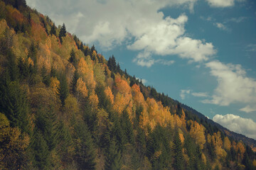 Autumn landscape. Mestia, Svaneti region, Georgia, Caucasus.