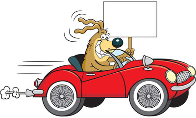 Cartoon illustration of a dog driving a convertible sports car with wire wheels while holding a sign.