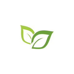 Leaf  ecology Logo Template vector