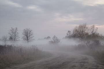 Fototapeta na wymiar A very foggy and mystic path in slovakia i black and white
