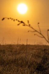 Obraz premium Chilly morning in the field