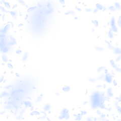 Light blue flower petals falling down. Radiant rom