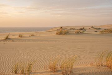 Sand dunes in Kaliningrad. Natural background. Sunrise.