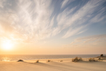 Sand dunes in Kaliningrad. Natural background. Sunrise.