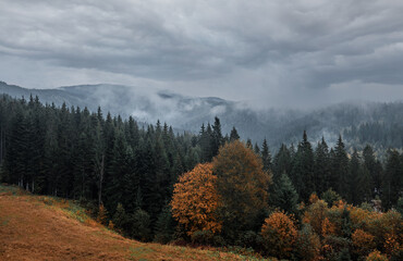 Morning landscape in the Carpathian mountains.
